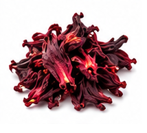 Hibisco Flor